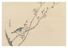 Bird on Branch print