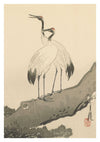 Cranes on a Branch print