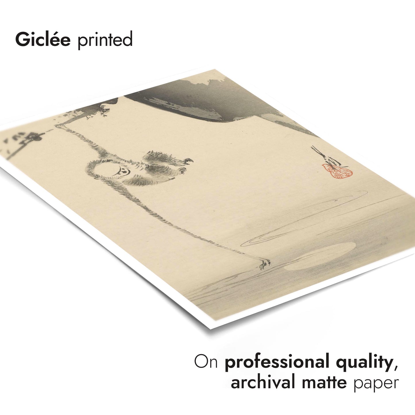 Monkey Reaching for the Moon