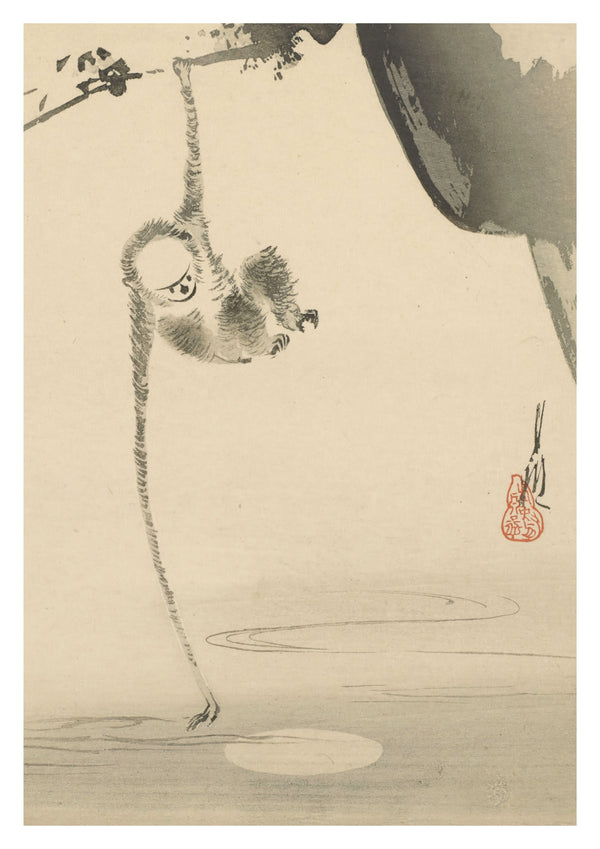 Monkey Reaching for the Moon