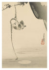 Monkey Reaching for the Moon print