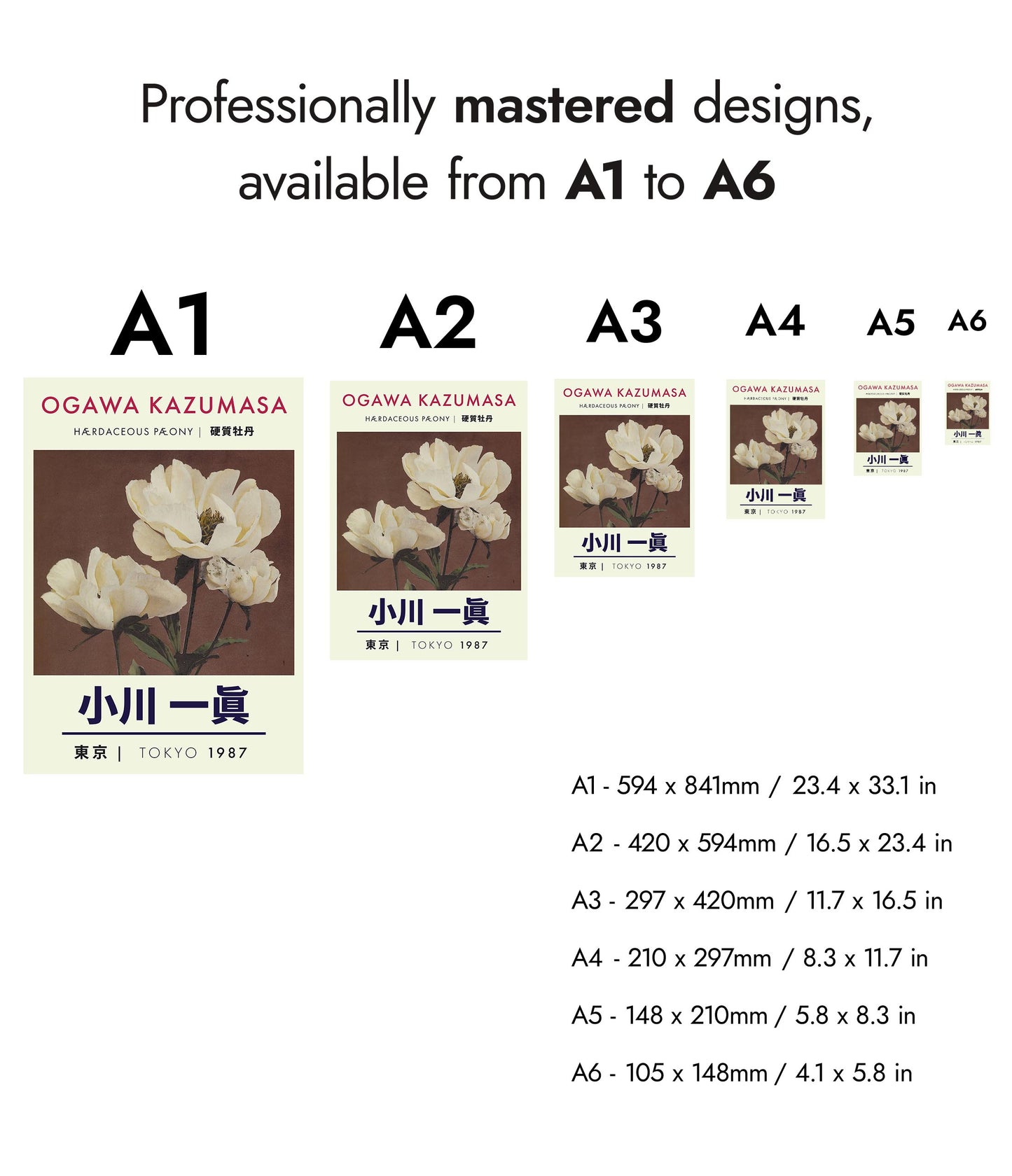 Kruidachtige pioenroos