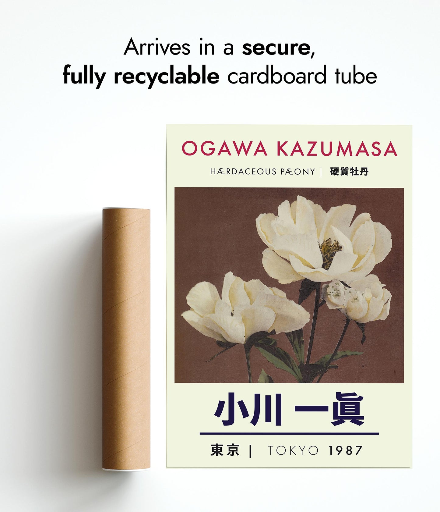 Kruidachtige pioenroos