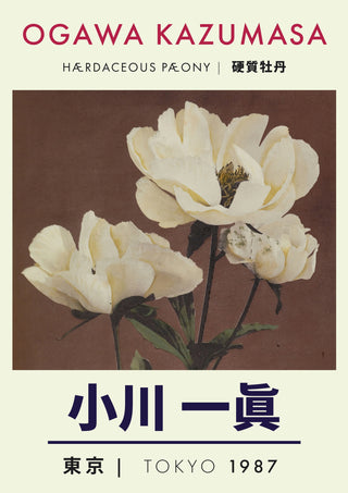 Kruidachtige pioenroos print