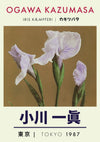 Iris print