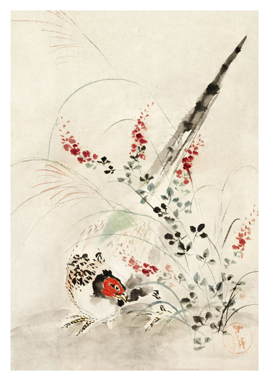 Japanischer Fasan - Print Only frame