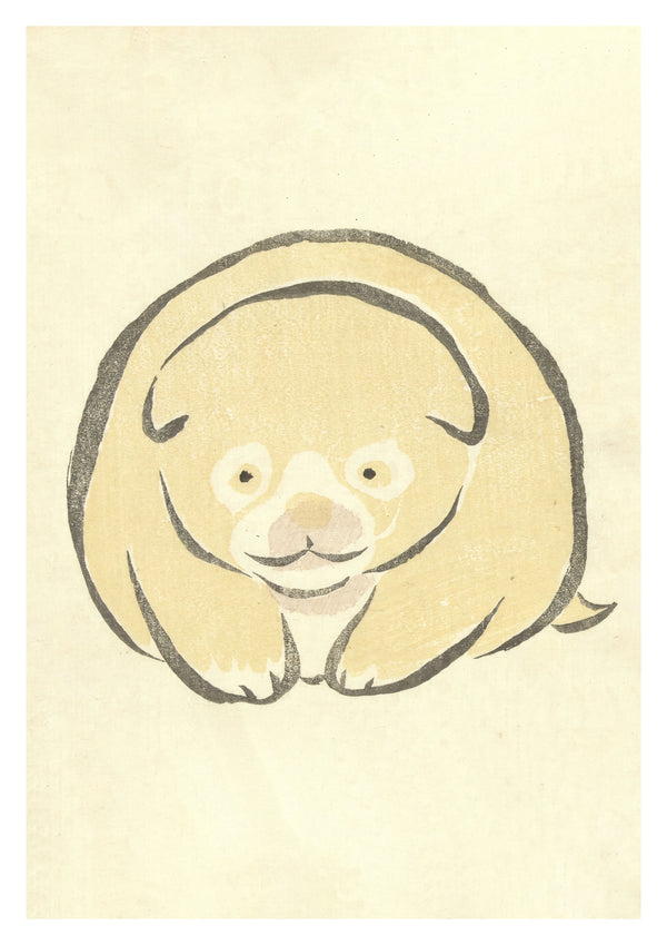 Puppy