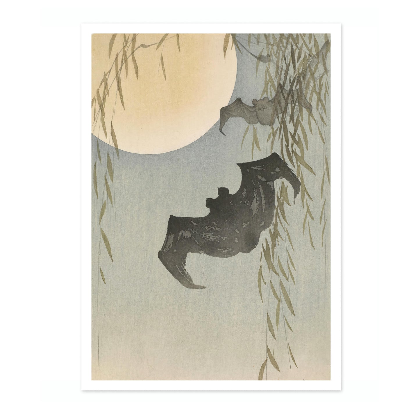 Chauves-souris au clair de lune