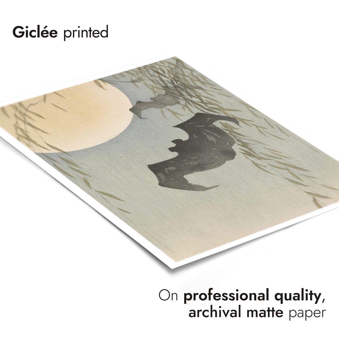 Chauves-souris au clair de lune