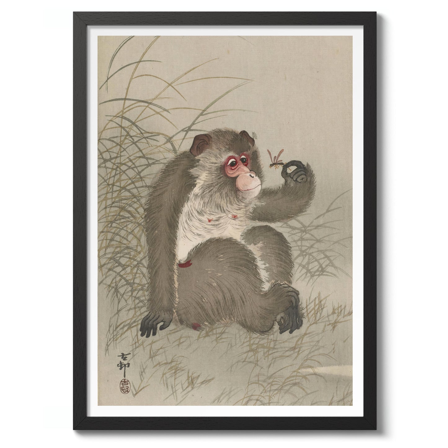 Aap bestudeert een libel in zijn hand