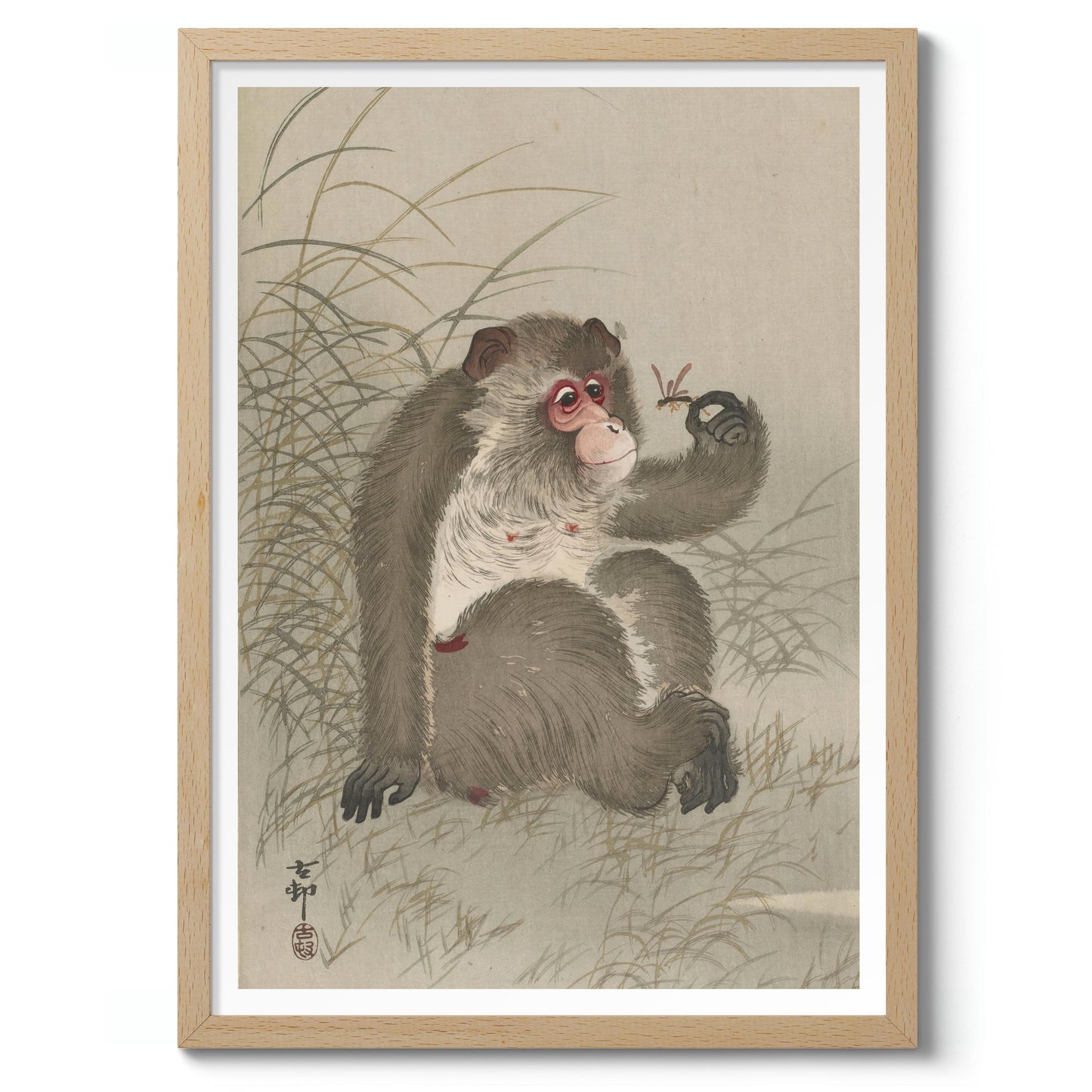 Aap bestudeert een libel in zijn hand