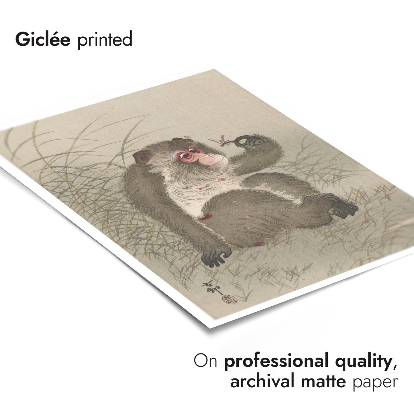 Aap bestudeert een libel in zijn hand