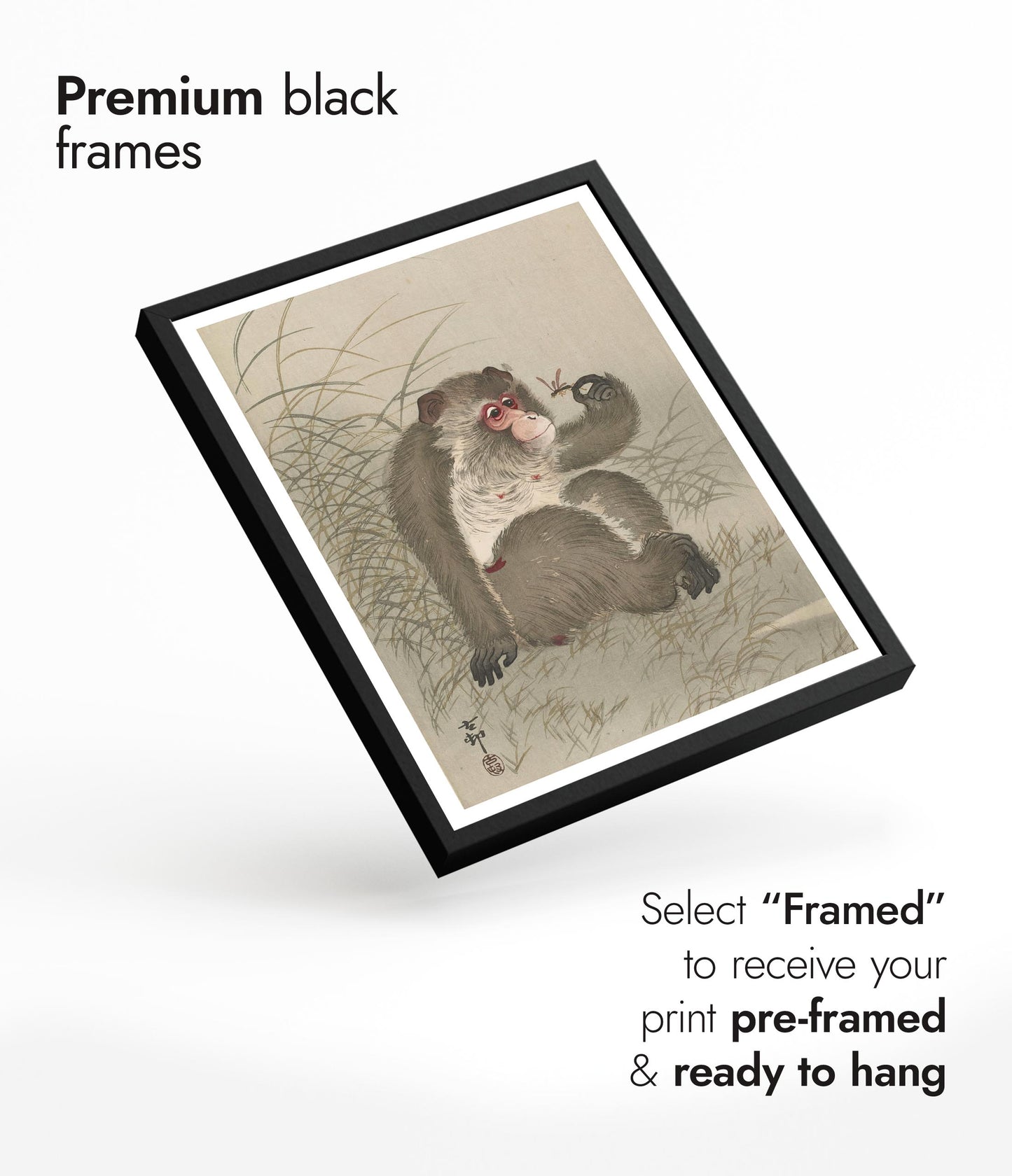 Aap bestudeert een libel in zijn hand