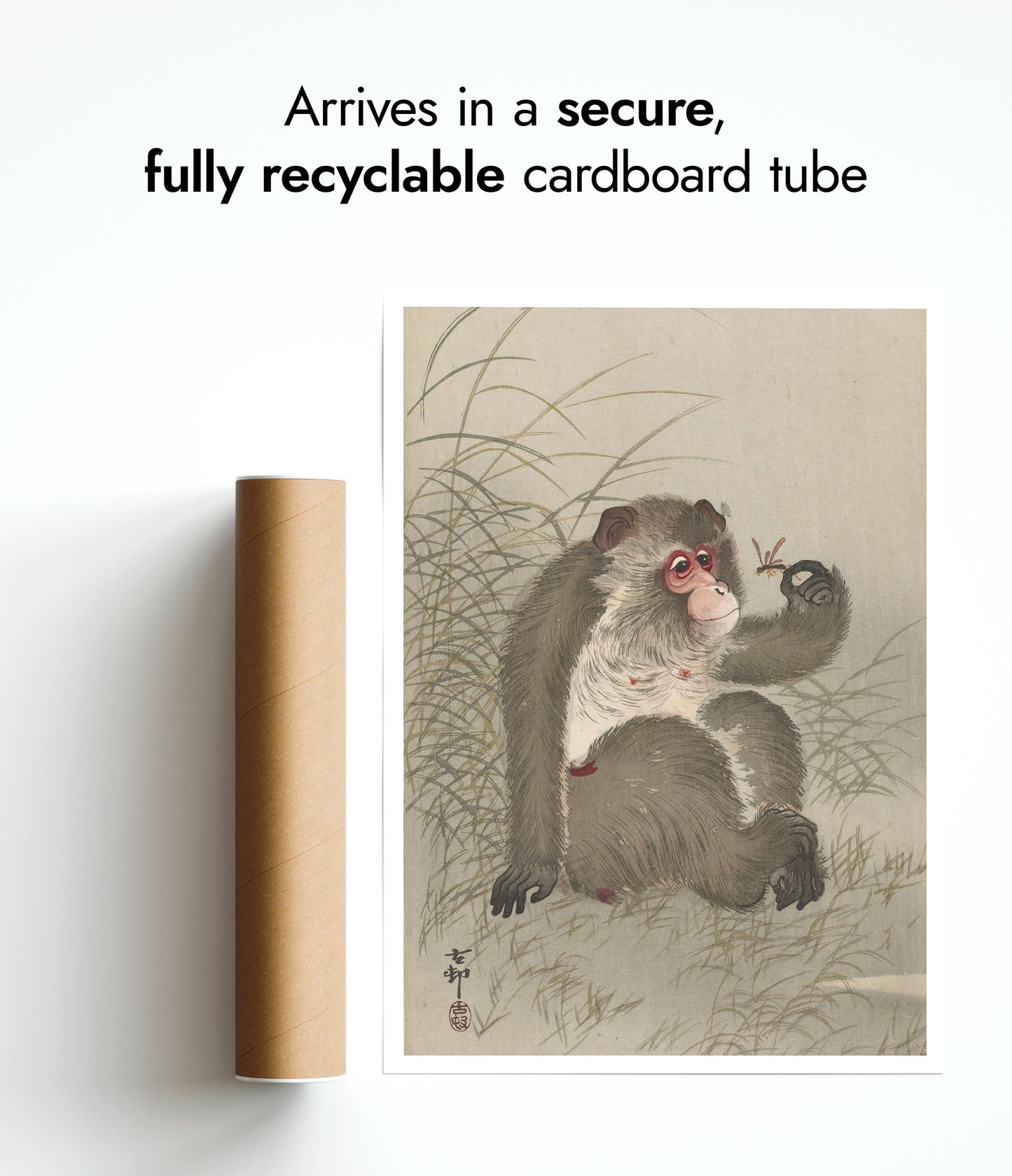 Aap bestudeert een libel in zijn hand