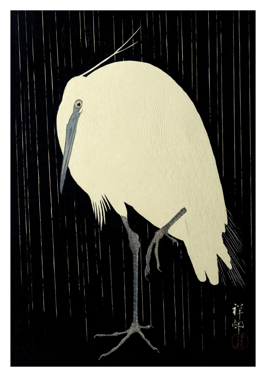 Aigrette sous la pluie - Print Only frame