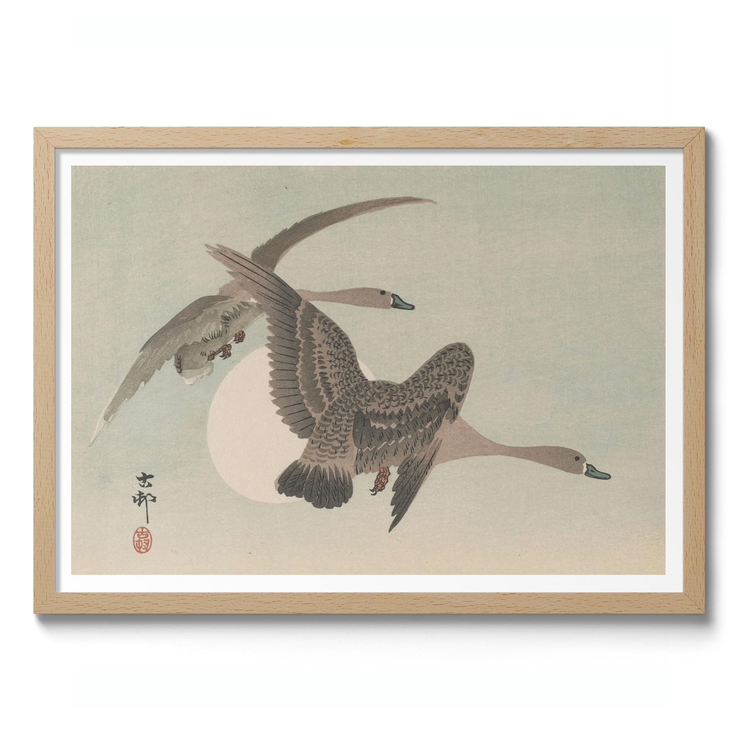 Twee ganzen in vlucht & volle maan