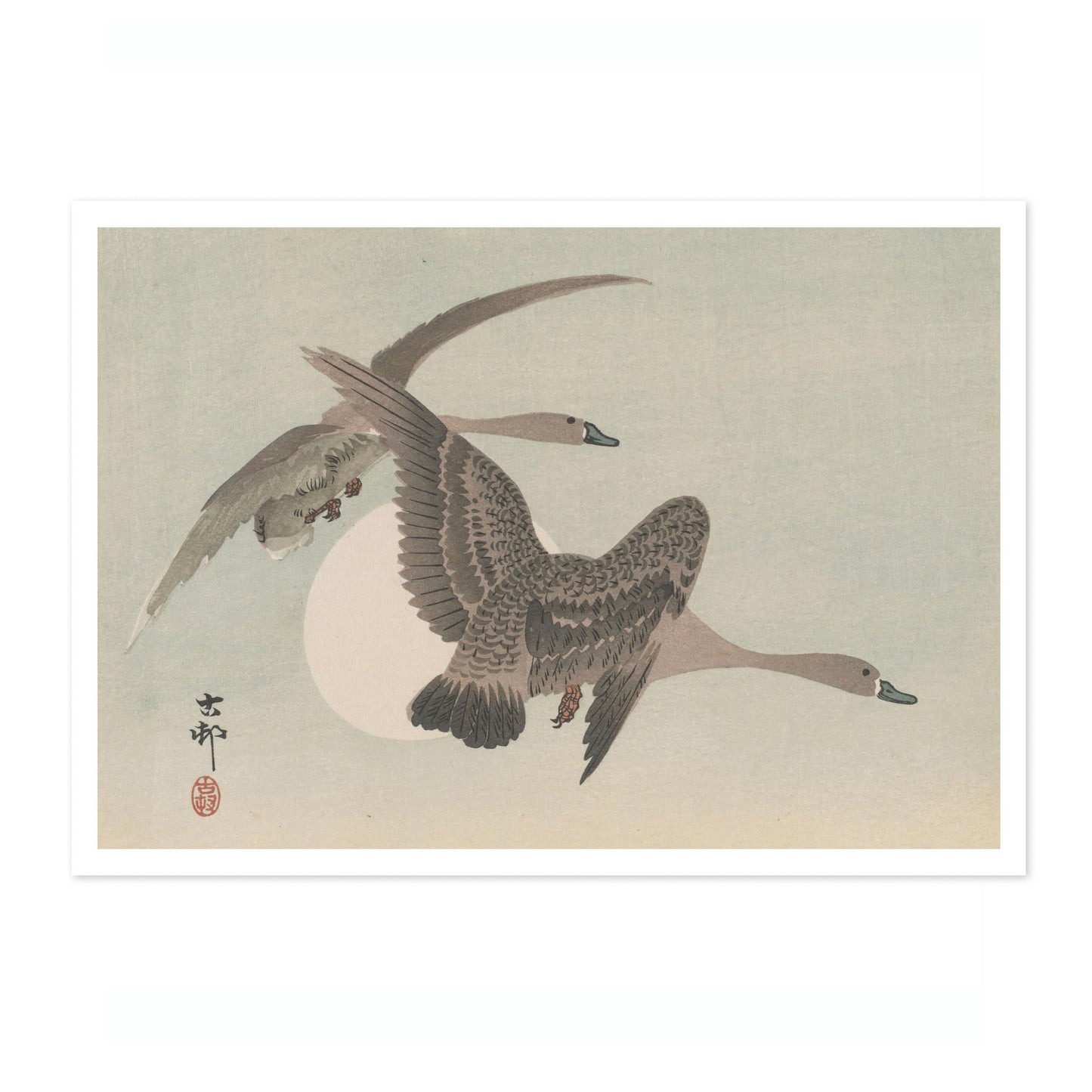 Twee ganzen in vlucht & volle maan