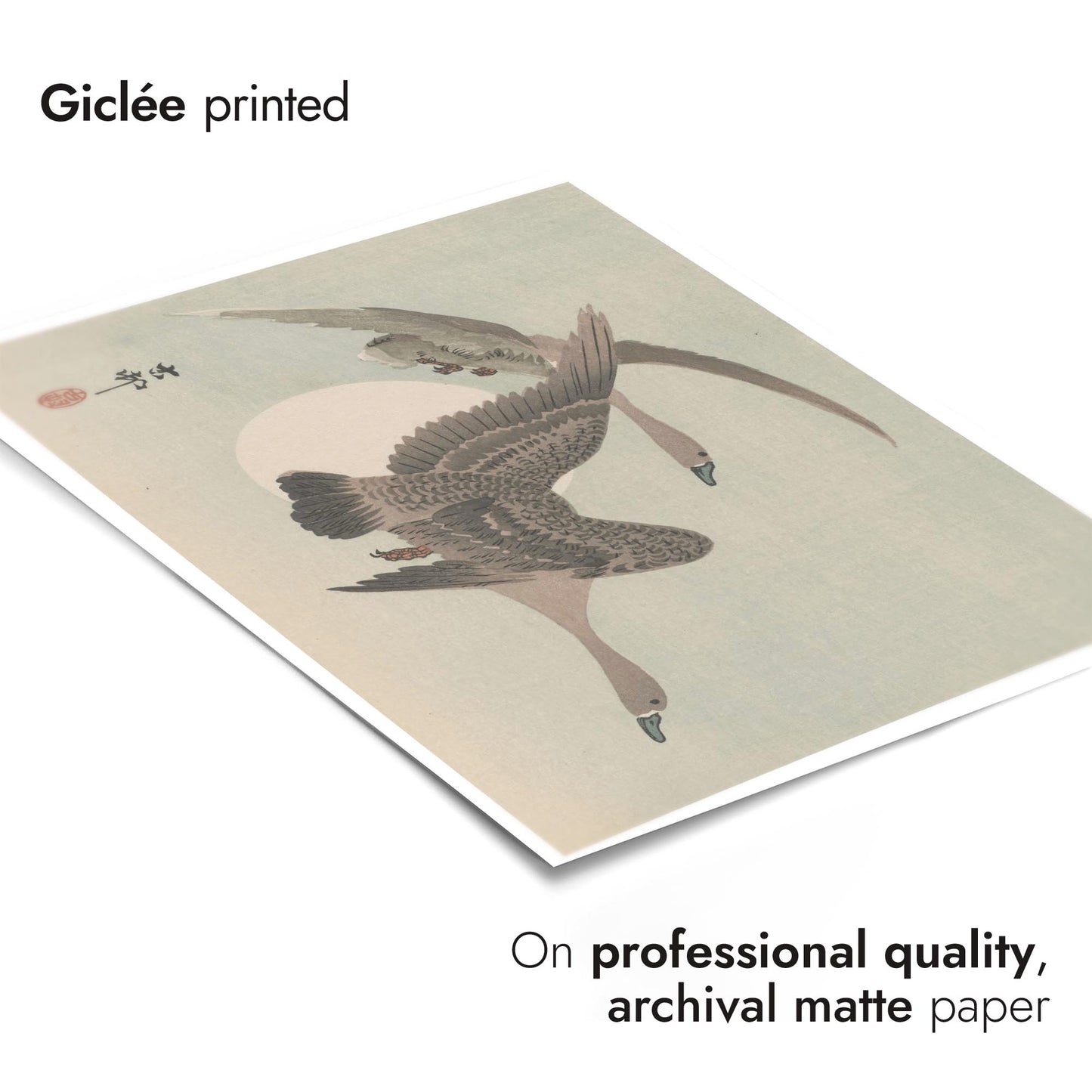 Twee ganzen in vlucht & volle maan