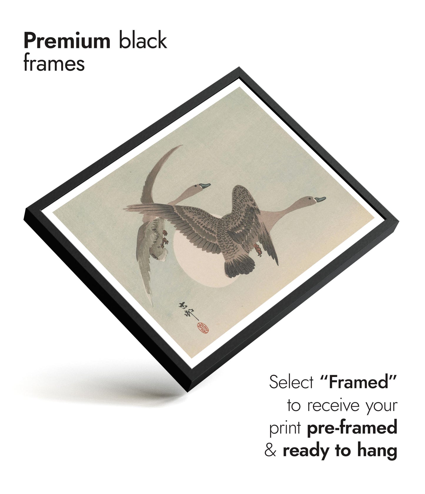 Twee ganzen in vlucht & volle maan