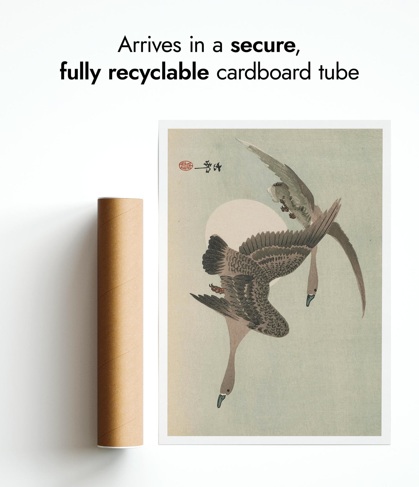 Twee ganzen in vlucht & volle maan