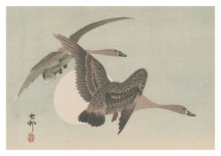 Twee ganzen in vlucht & volle maan print