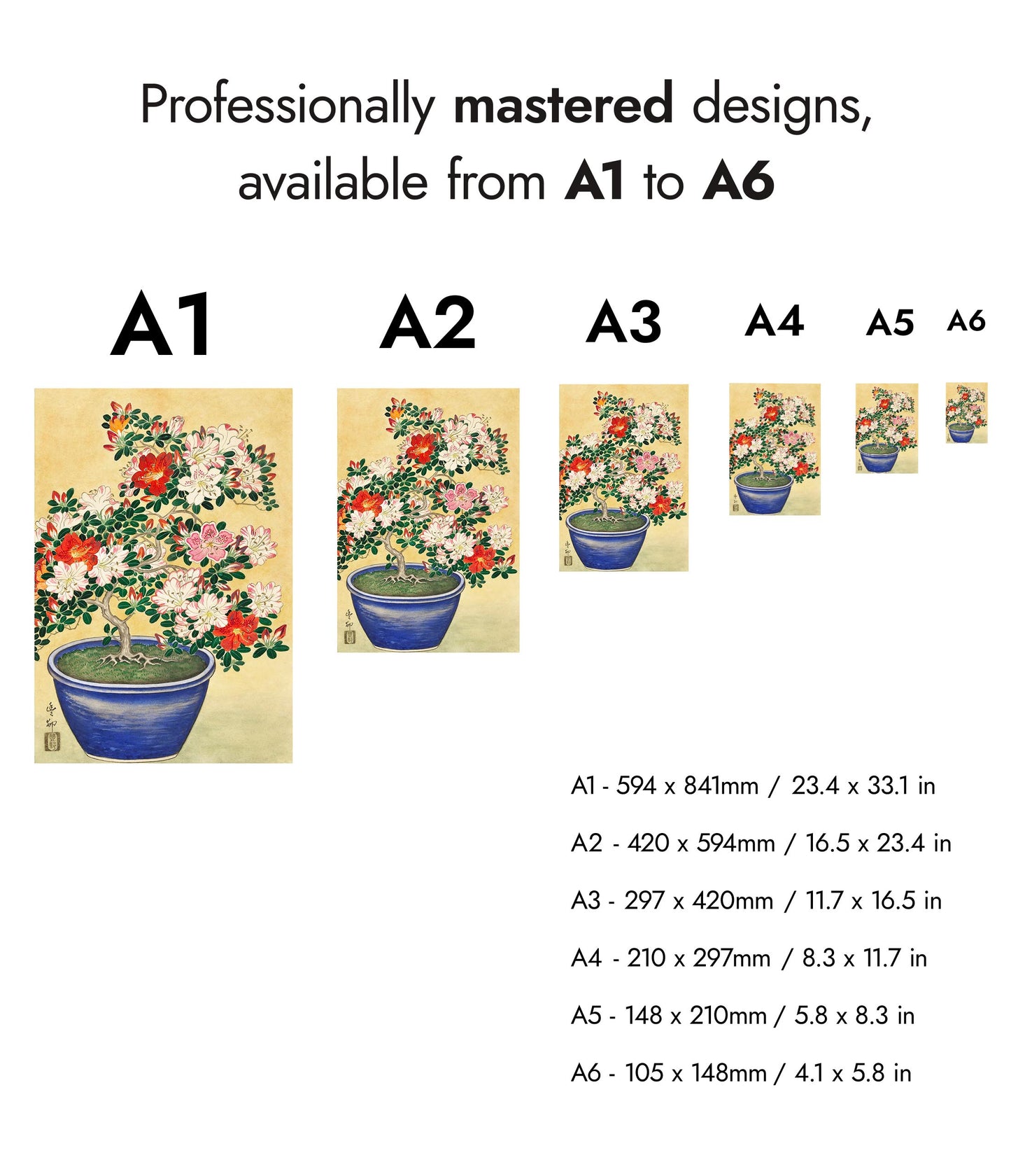 Blooming Azalea in Blue Pot