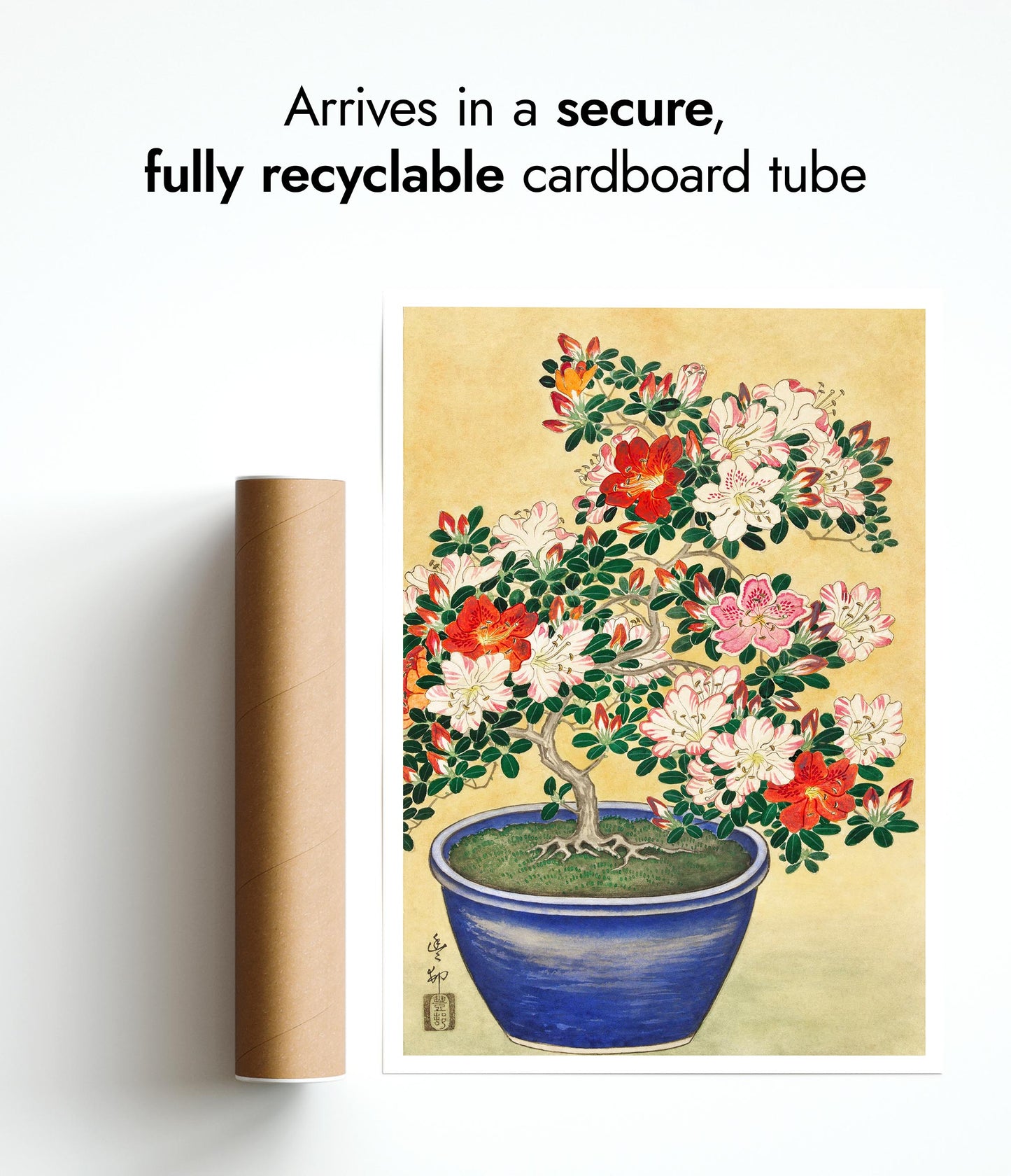 Blooming Azalea in Blue Pot