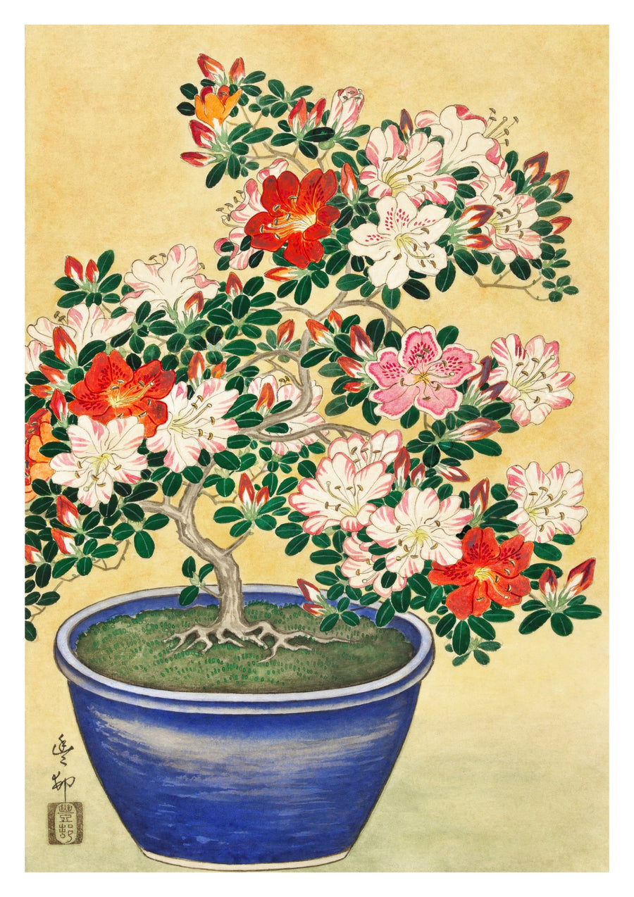 Bloeiende Azalea in Blauwe Pot - Print Only frame