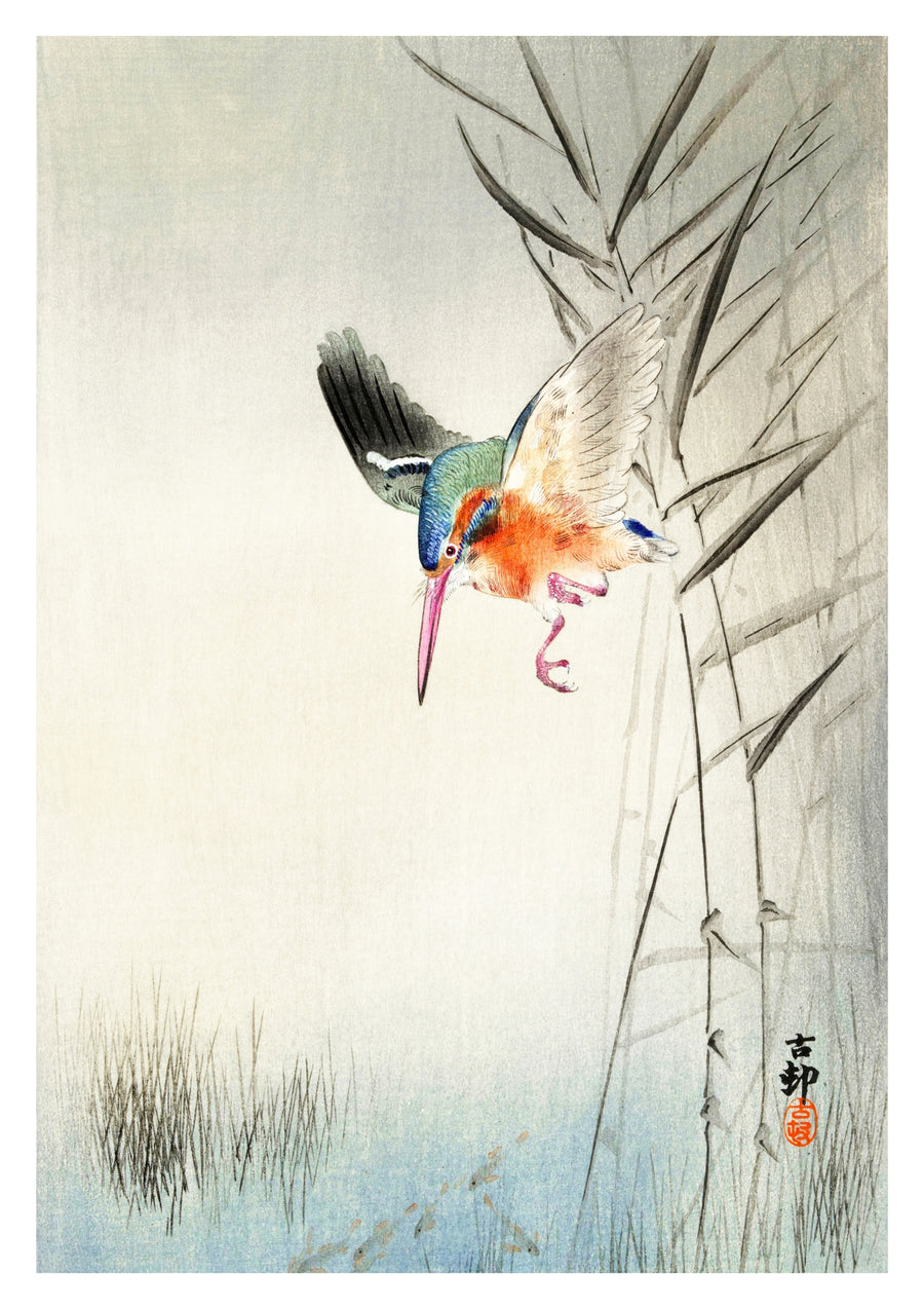 IJsvogel die op vis jaagt in het water - Print Only frame