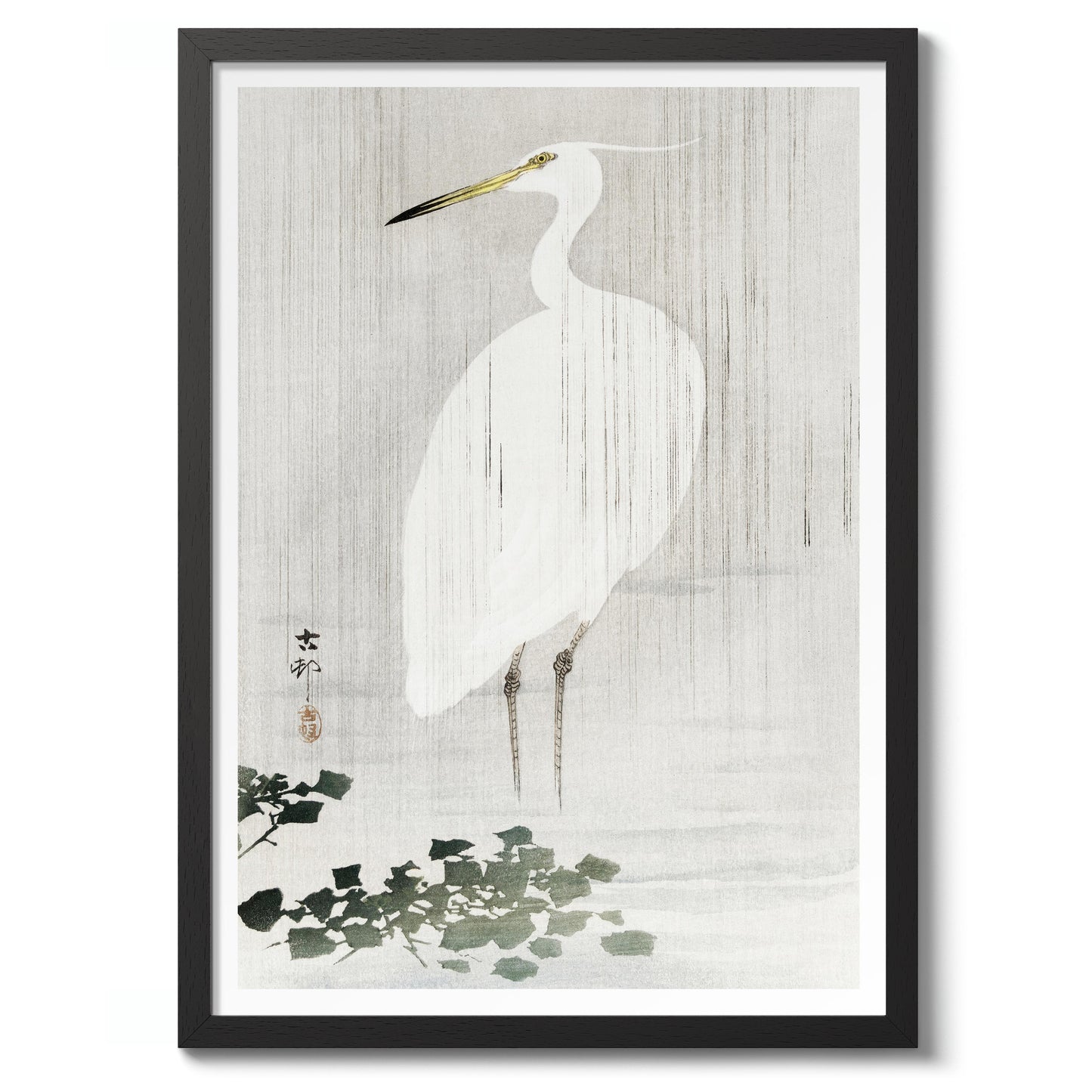 Seidenreiher im Regen