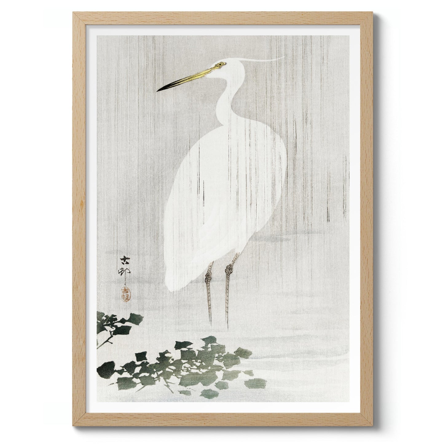 Seidenreiher im Regen