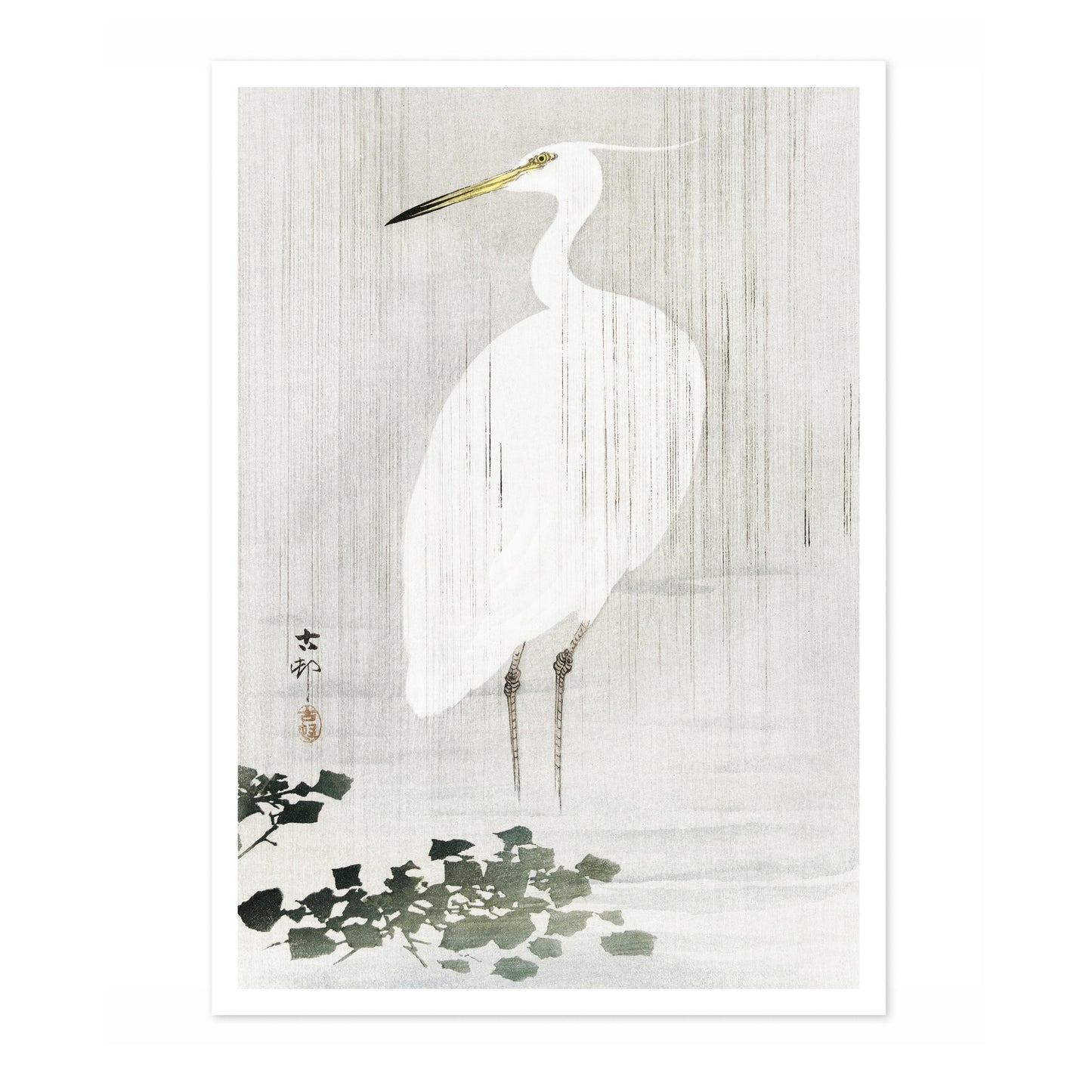 Seidenreiher im Regen