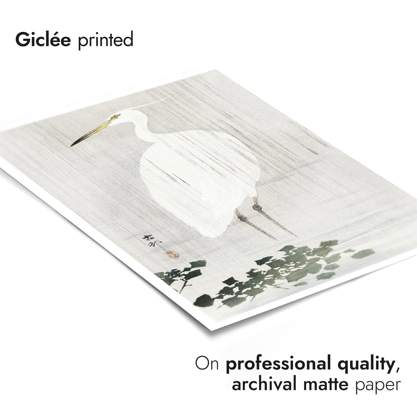 Seidenreiher im Regen