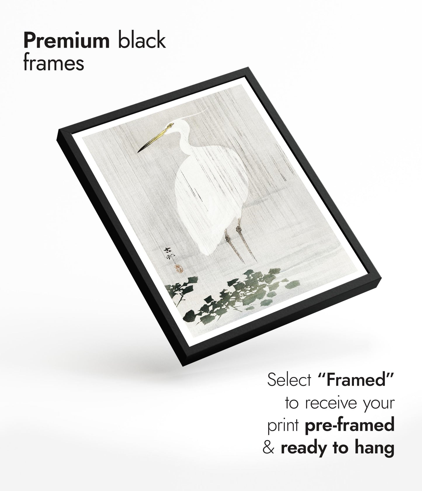 Seidenreiher im Regen