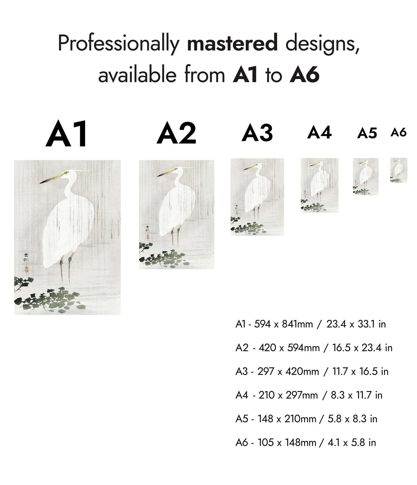 Seidenreiher im Regen
