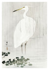 Egret in Rain print