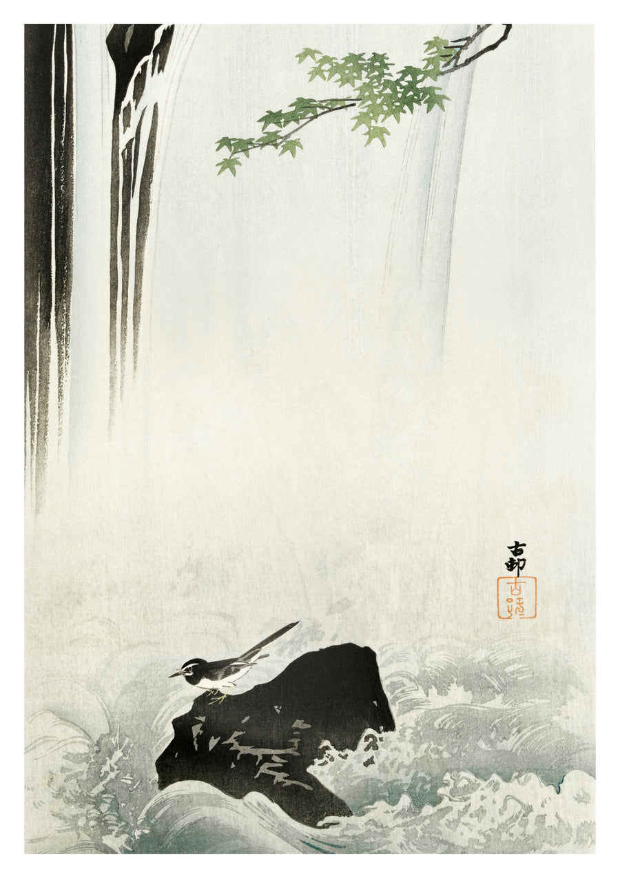 Japanse Witte Kwikstaart bij Waterval - Print Only frame