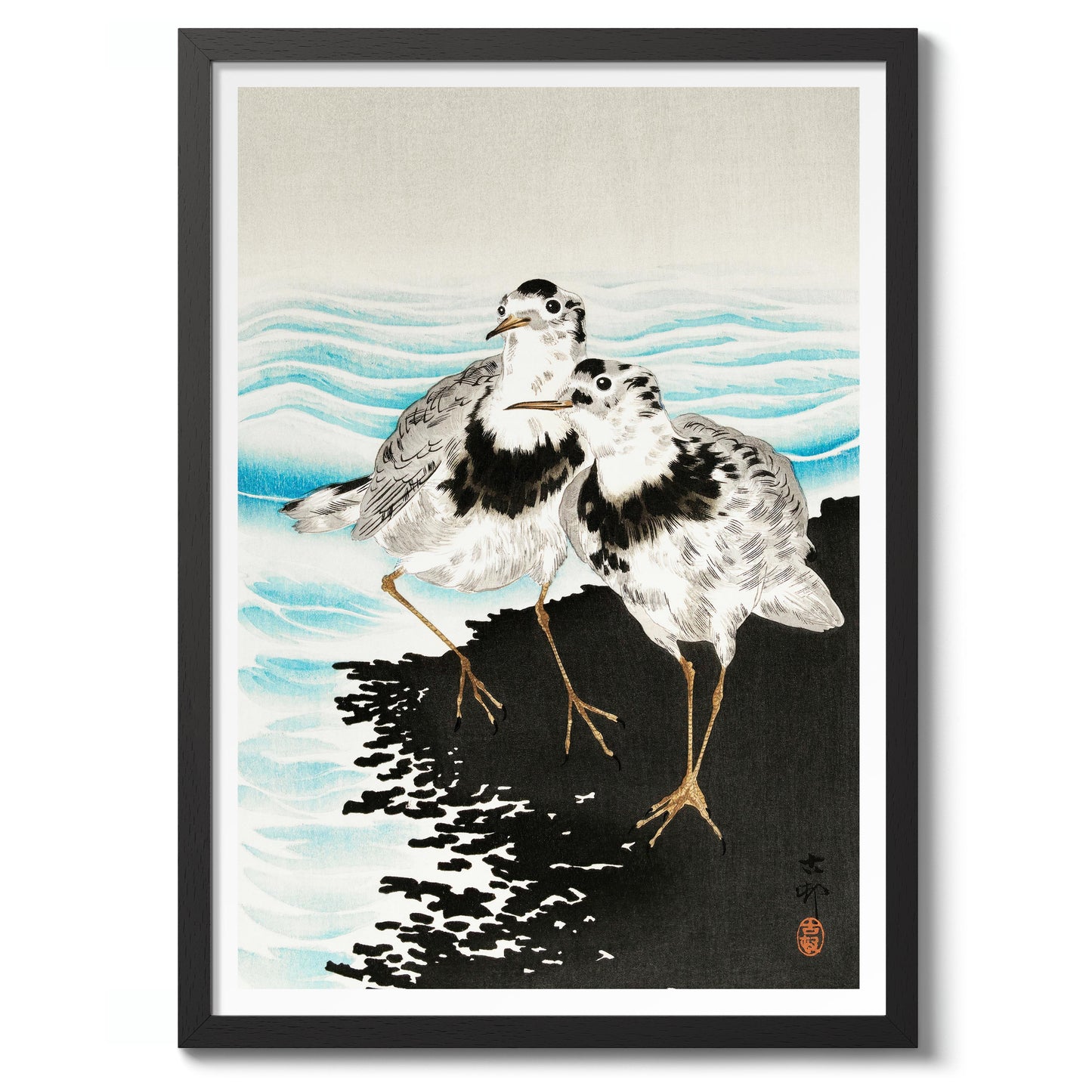 Stora sothönssnäppor