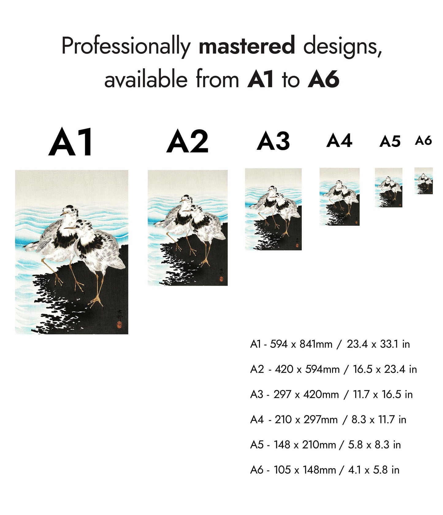 Stora sothönssnäppor