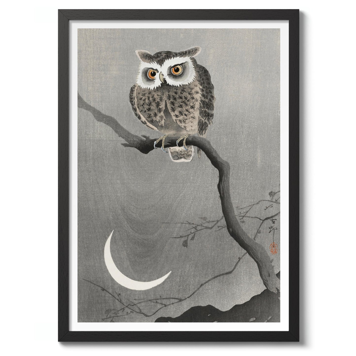 Chouette hulotte sur une branche d'arbre nue