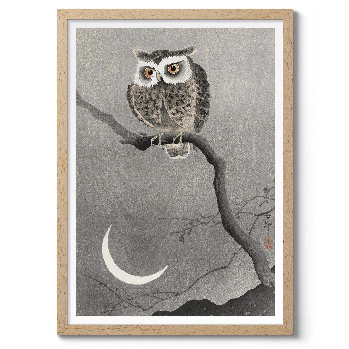 Chouette hulotte sur une branche d'arbre nue