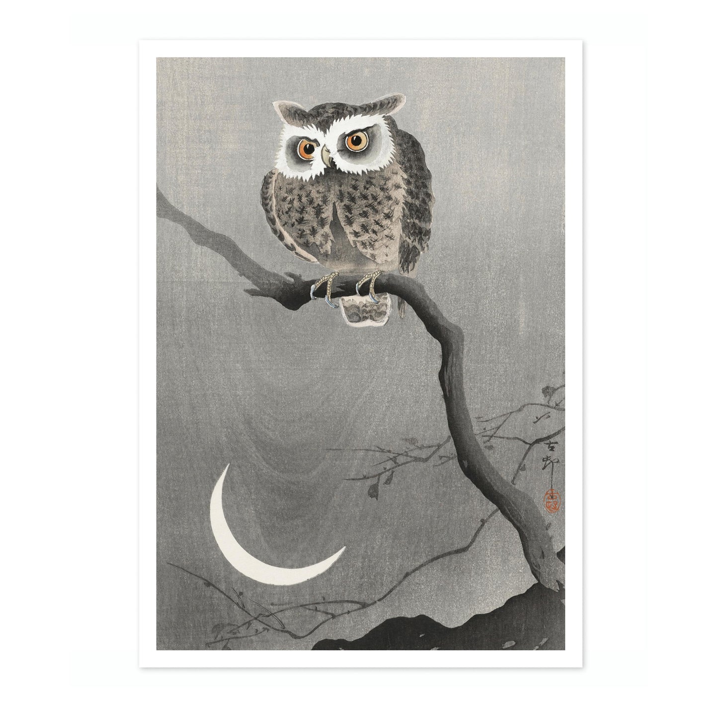 Chouette hulotte sur une branche d'arbre nue