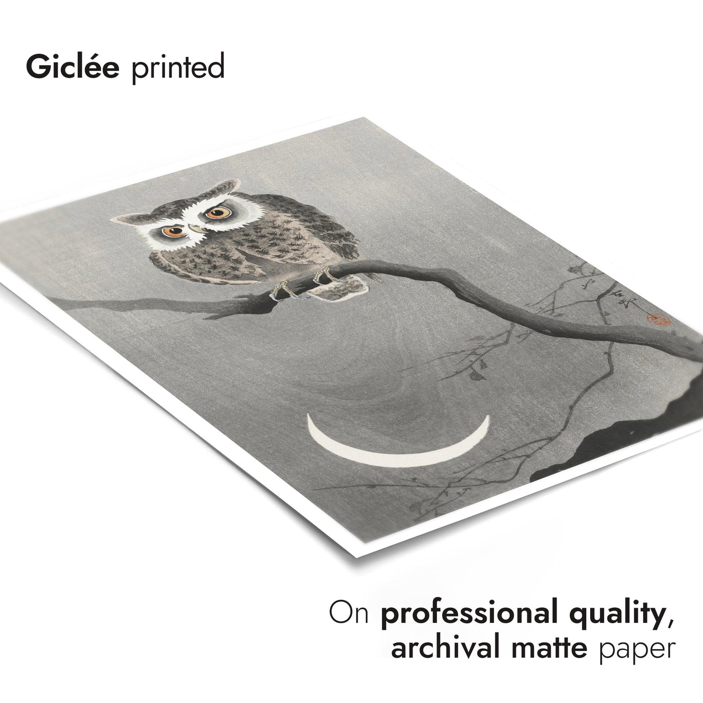 Chouette hulotte sur une branche d'arbre nue