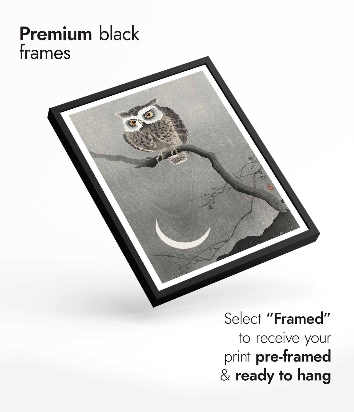 Chouette hulotte sur une branche d'arbre nue