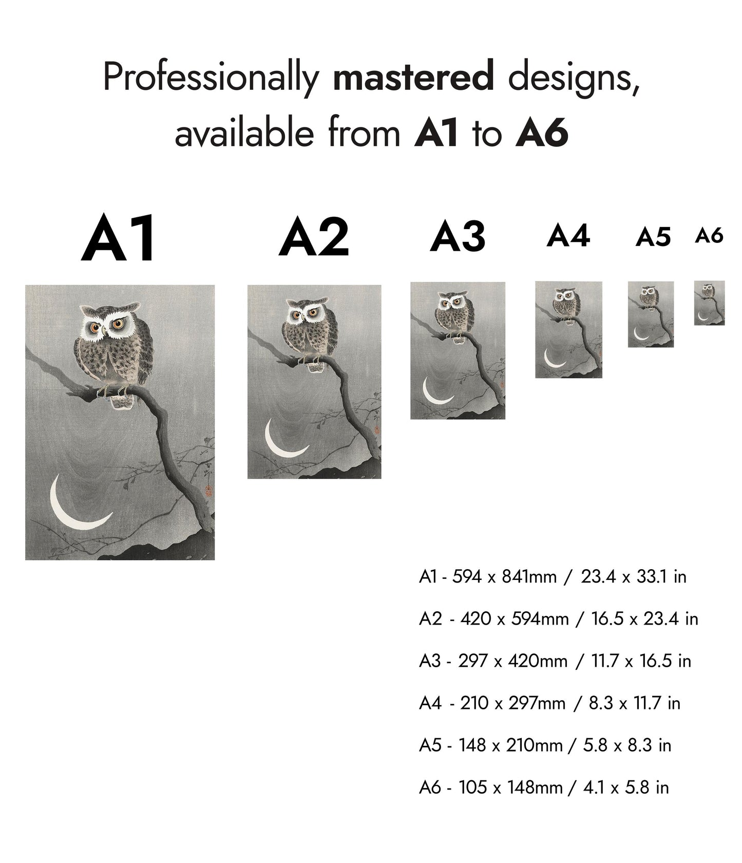 Chouette hulotte sur une branche d'arbre nue