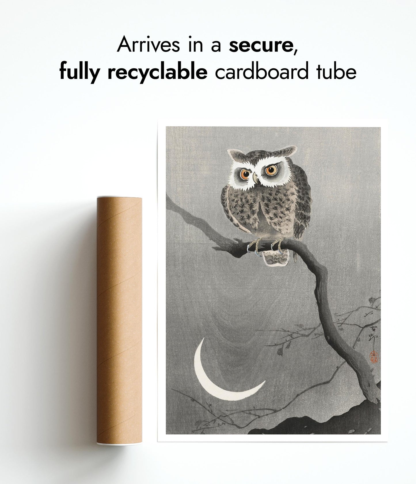 Chouette hulotte sur une branche d'arbre nue