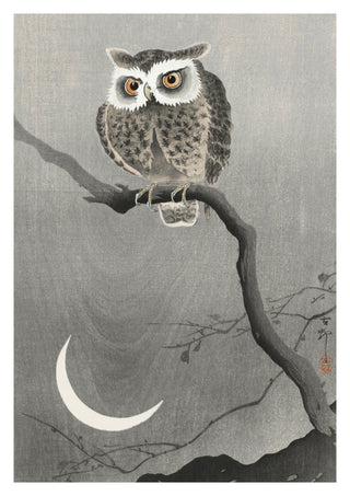 Chouette hulotte sur une branche d'arbre nue print