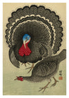 Turkey & Hen print