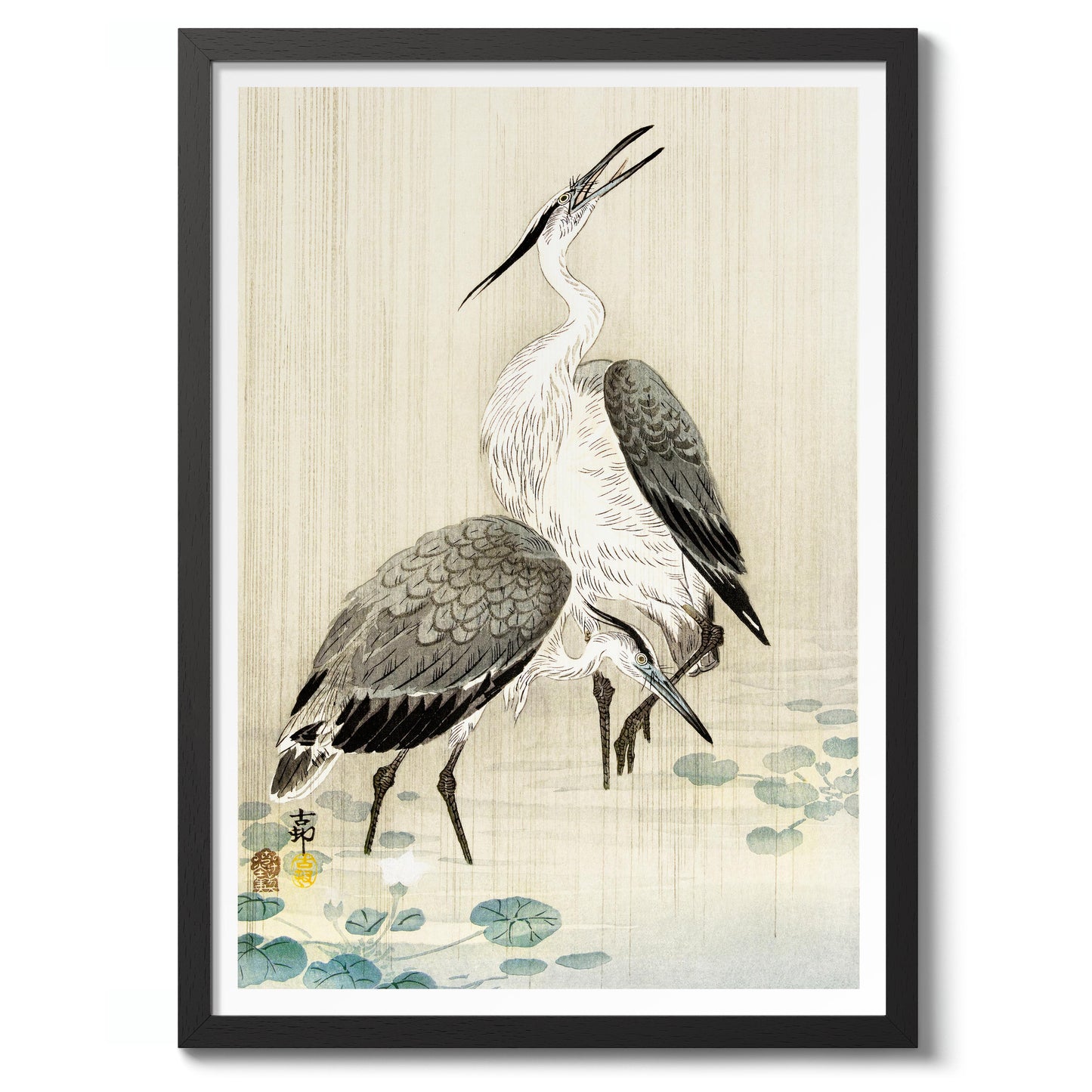 Two Herons in the Rain