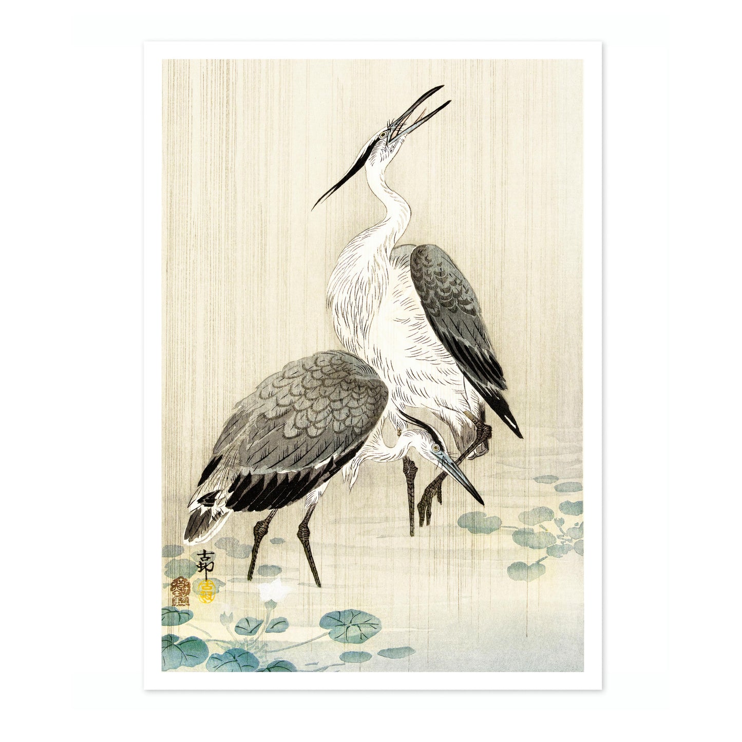 Two Herons in the Rain